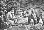 Кормление медведя